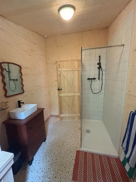 Cabin bathroom with shower